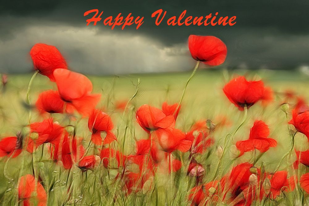 Happy Valentine Foto & Bild gratulation und feiertage, happy