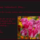Happy Valentine's Day.....