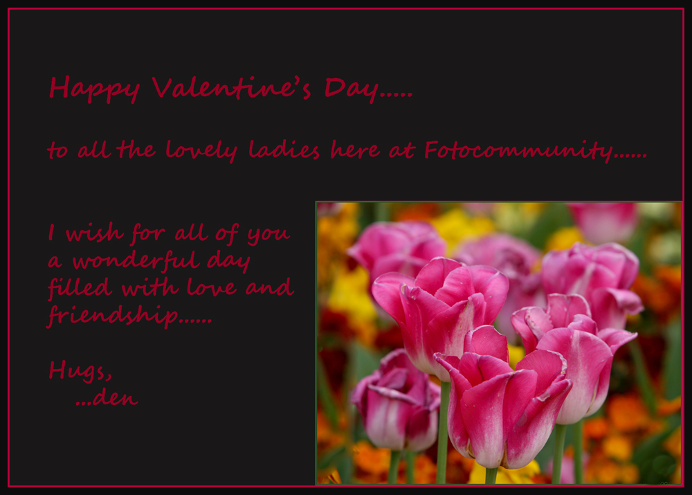 Happy Valentine's Day.....
