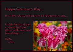 Happy Valentine's Day.....