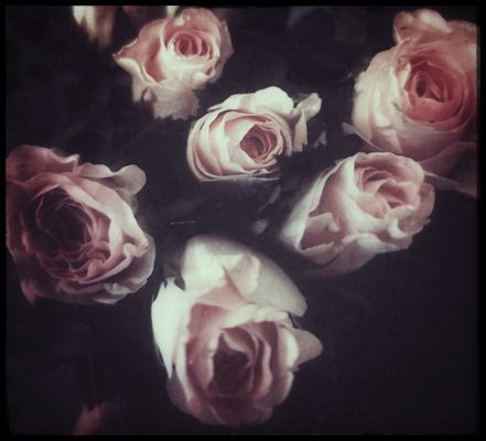 Happy Valentins (self love) Day :-) 