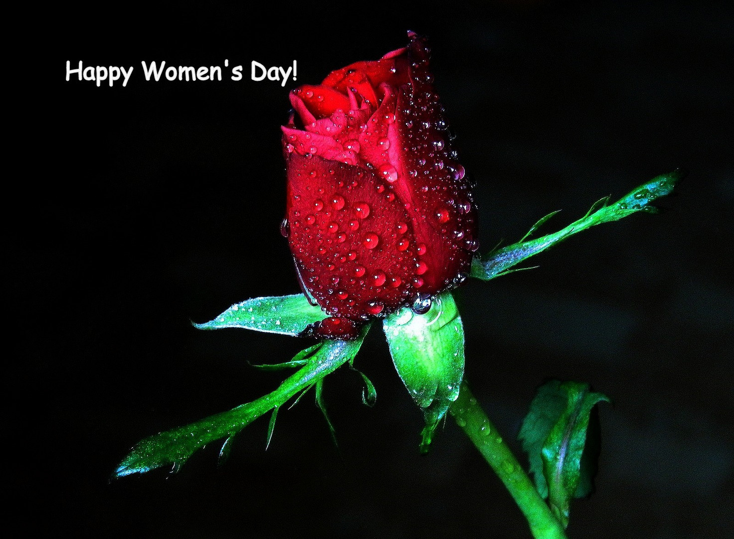 Happy Women's Day