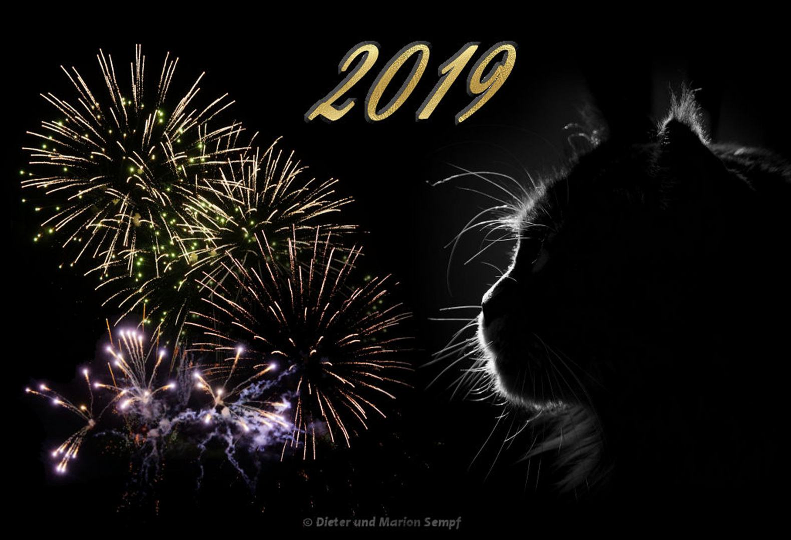 Happy_New_Year Foto & Bild | kunstfotografie & kultur, feuerwerk, licht