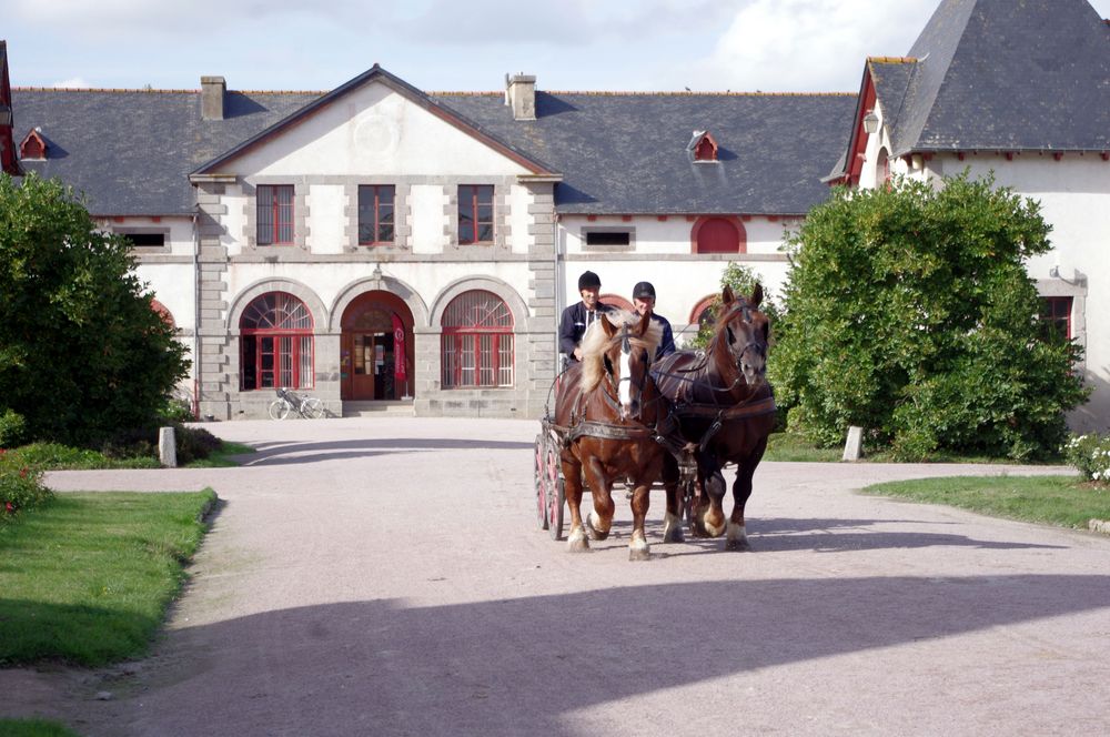 Haras National de Lamballe, Bretagne