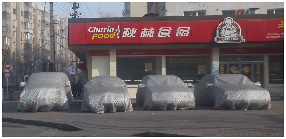 Harbin / China (5803)