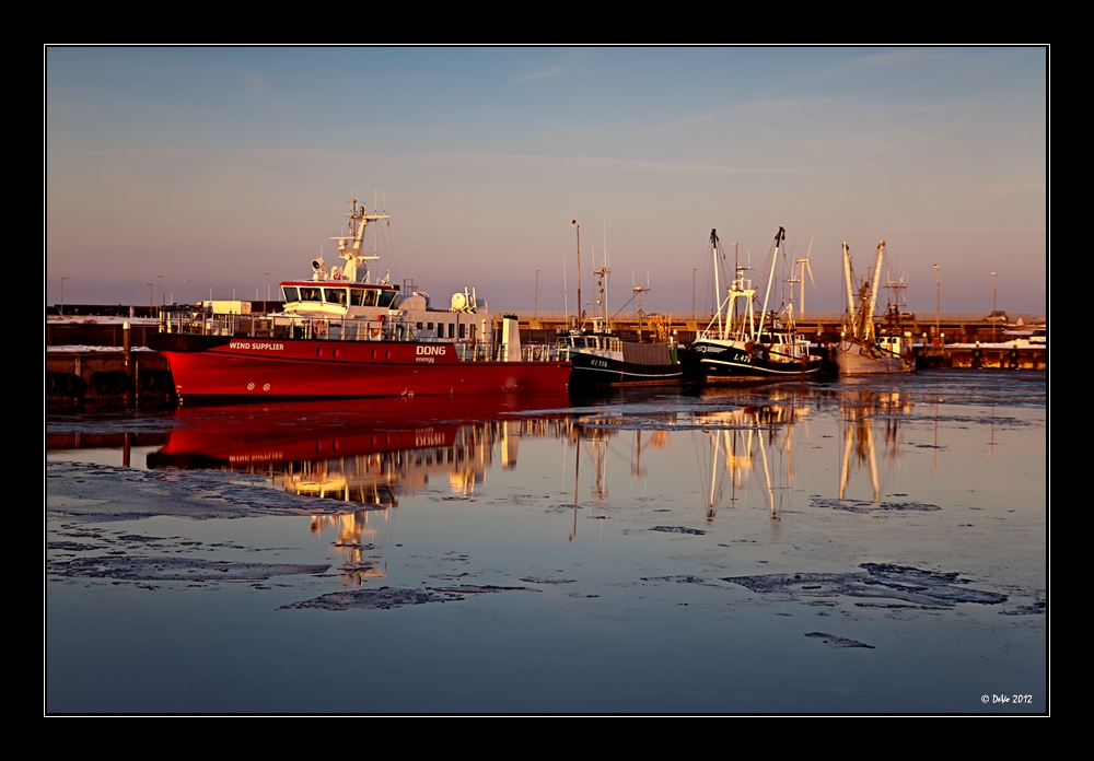 Harbor Evening