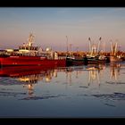 Harbor Evening