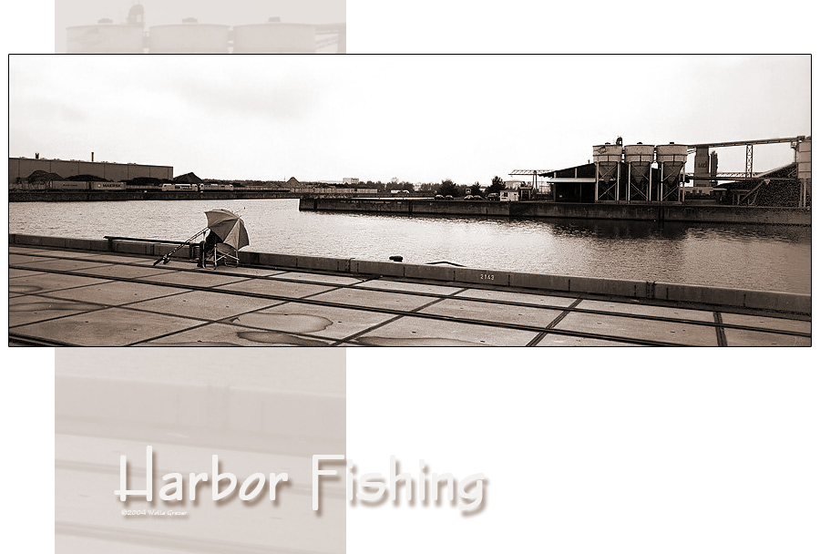 harbor fishing