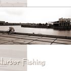 harbor fishing