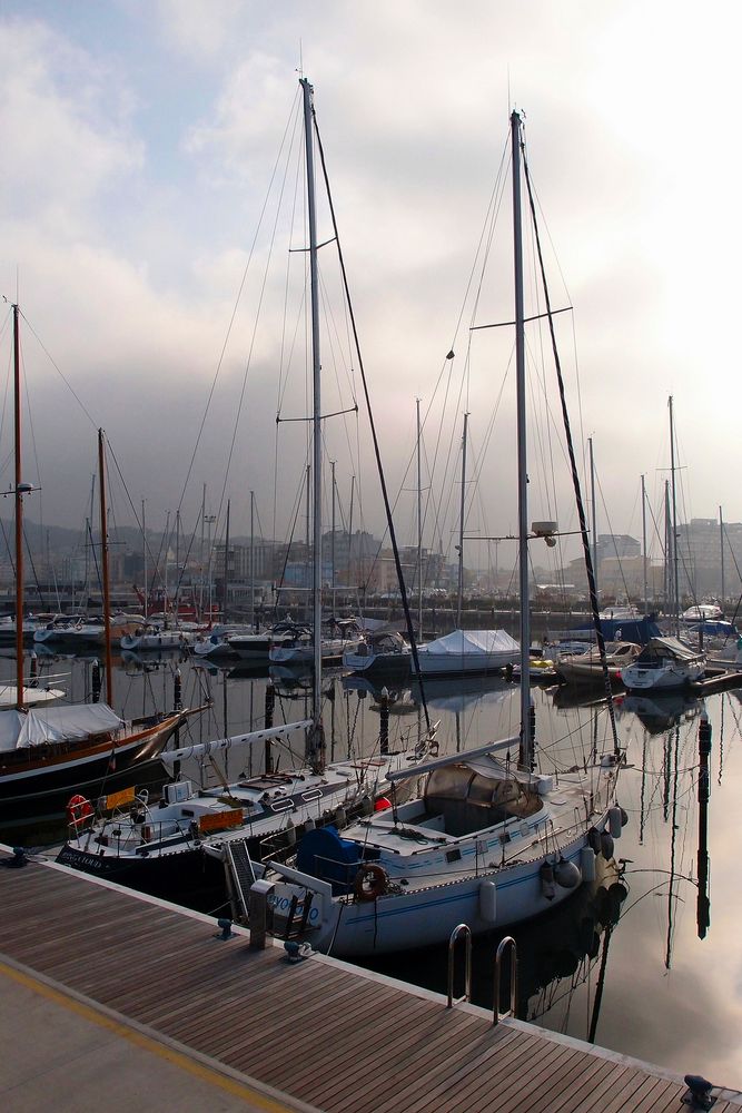 Harbor in winter