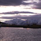 Harbor of Tromso