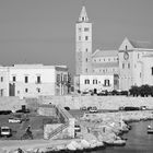 harbor, with cathedral, trani, italy