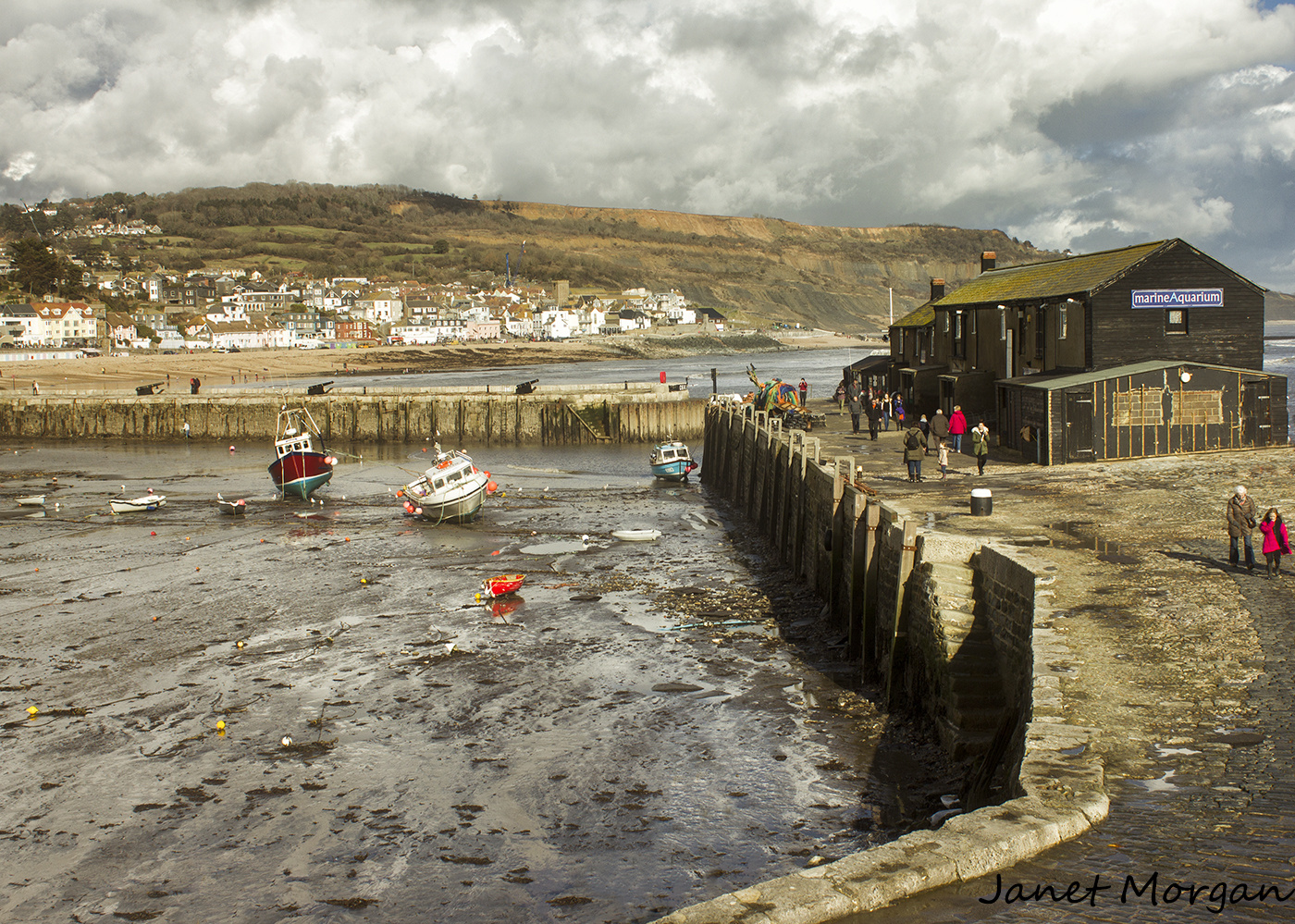 Harbour Activity