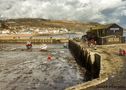 Harbour Activity by Janet Morgan 