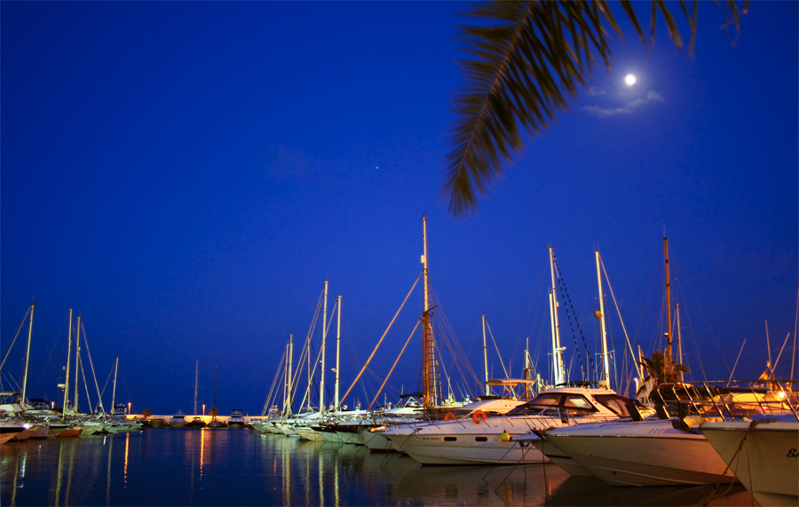 Harbour At Night