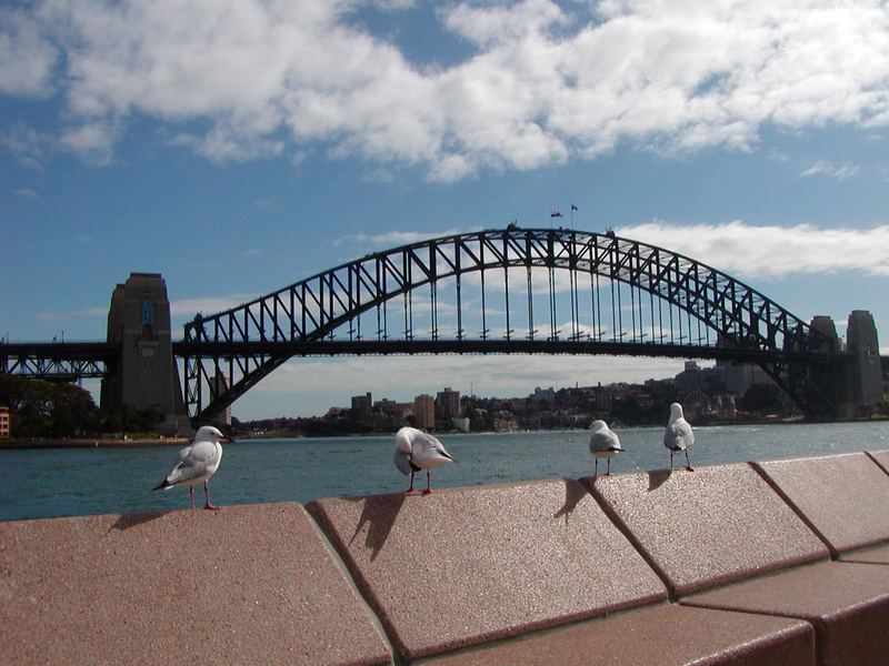 Harbour Bridge