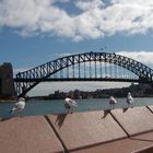 Harbour Bridge