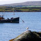 Harbour Derryherbert