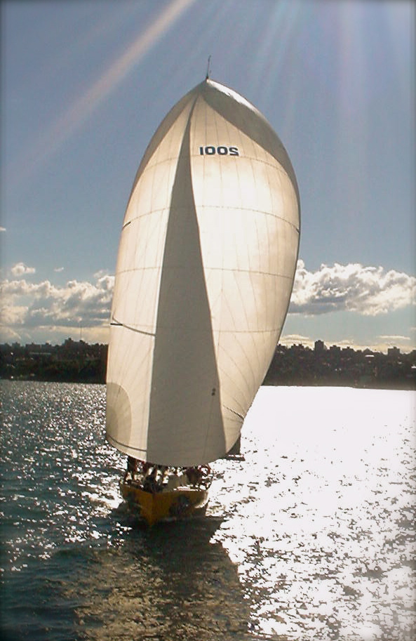 Harbour Flight