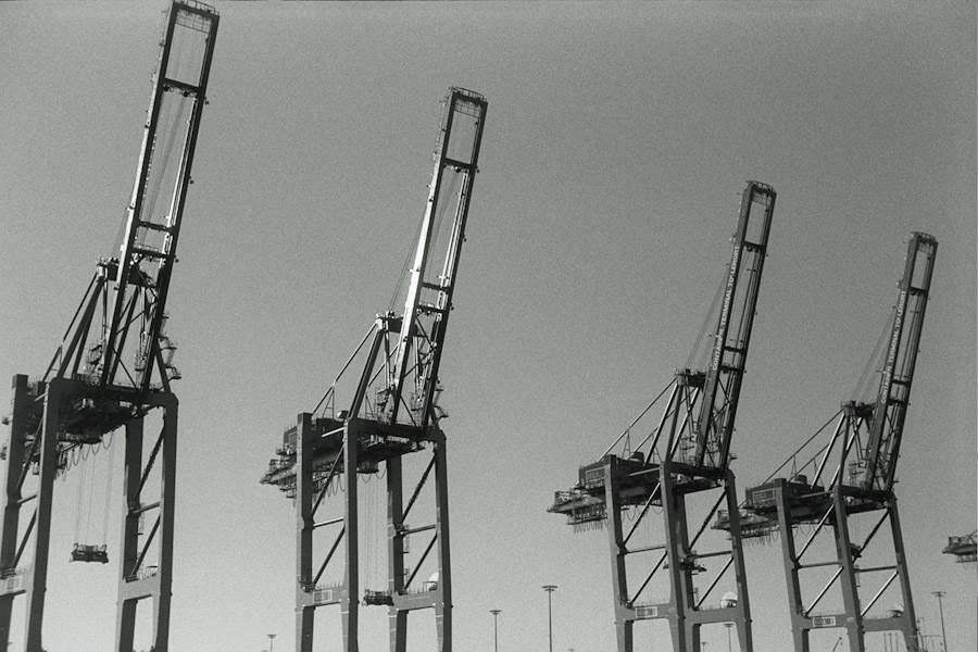 Harbour Giants