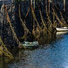 Harbour in Mevagissey