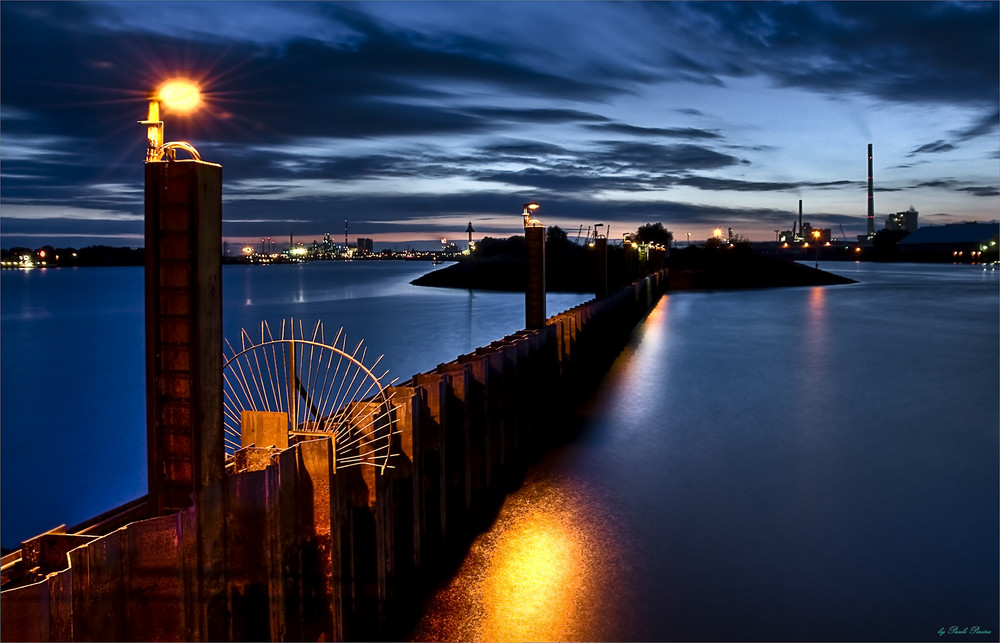 harbour nights