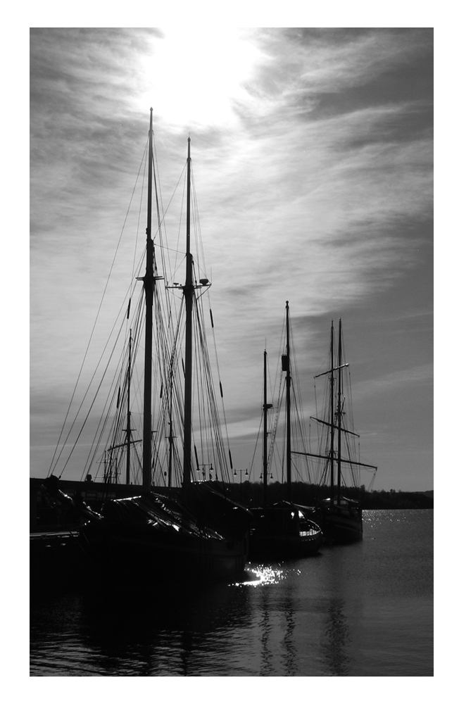 Harbour of Oslo