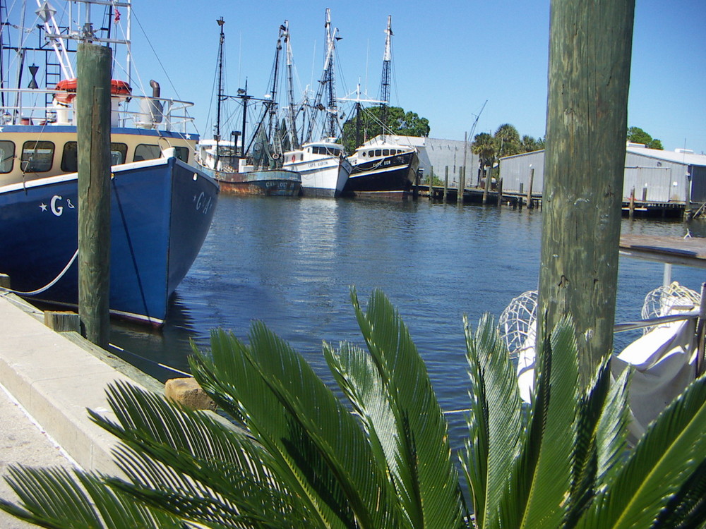 Harbour of Tarpon Springs - Greece in the States