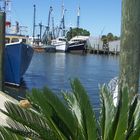 Harbour of Tarpon Springs - Greece in the States