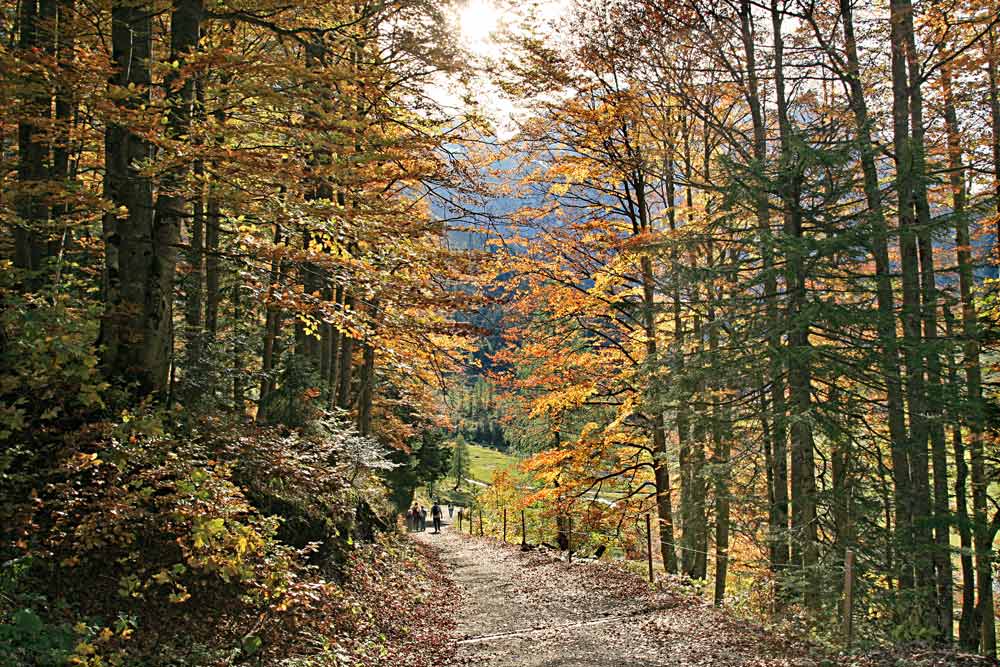 HARBSTWANDERUNG-KARWENDELGEBIET