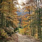 HARBSTWANDERUNG-KARWENDELGEBIET