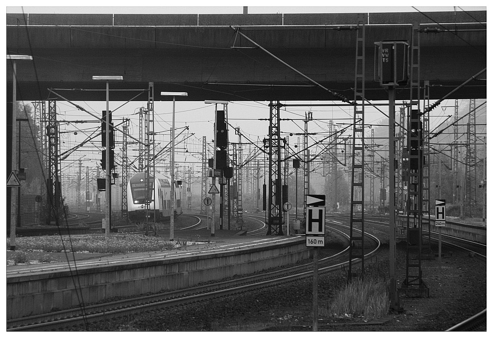 Harburg im Nebel