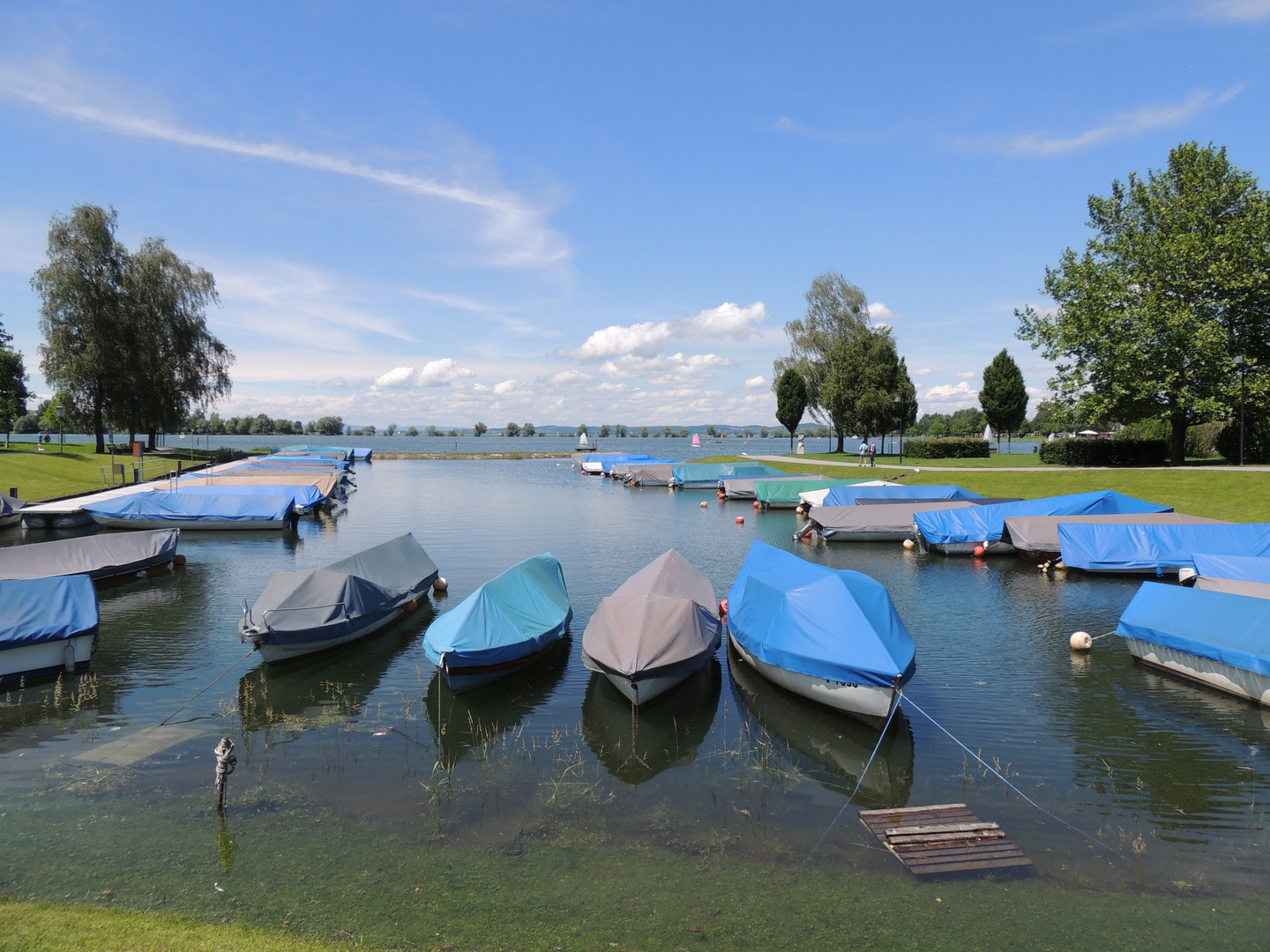 Hard am Bodensee