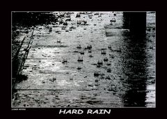 Hard Rain