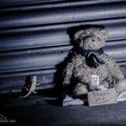 hard times even for Teddy´s