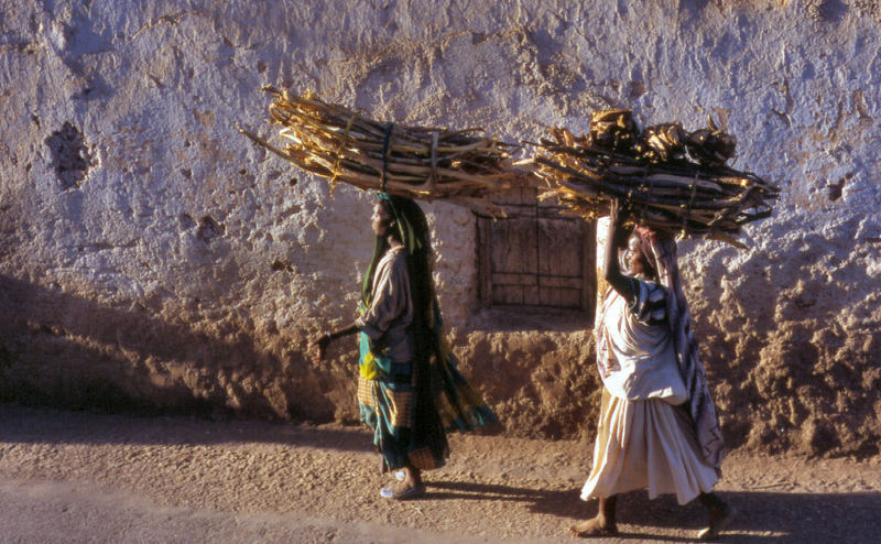 Hard Work in Harar