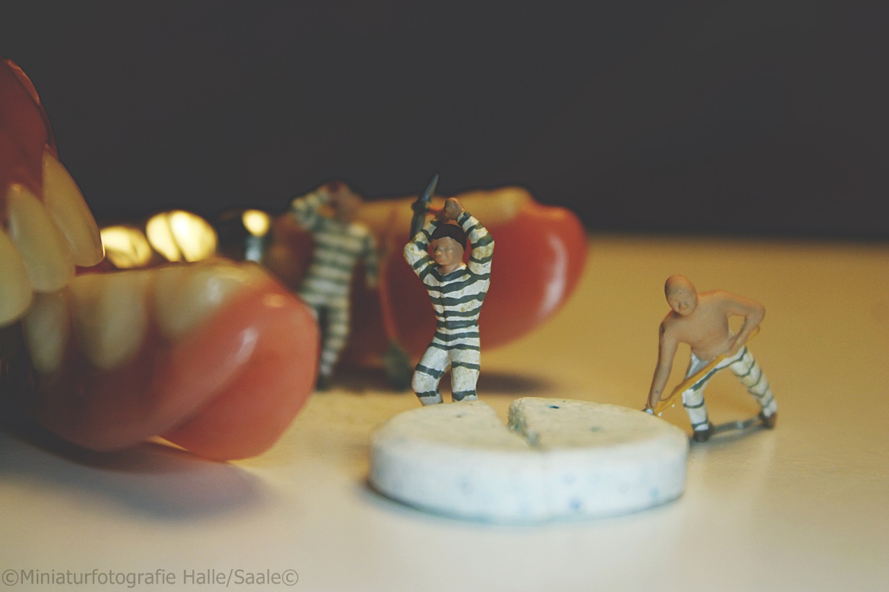 Hard Work - Miniaturfotografie