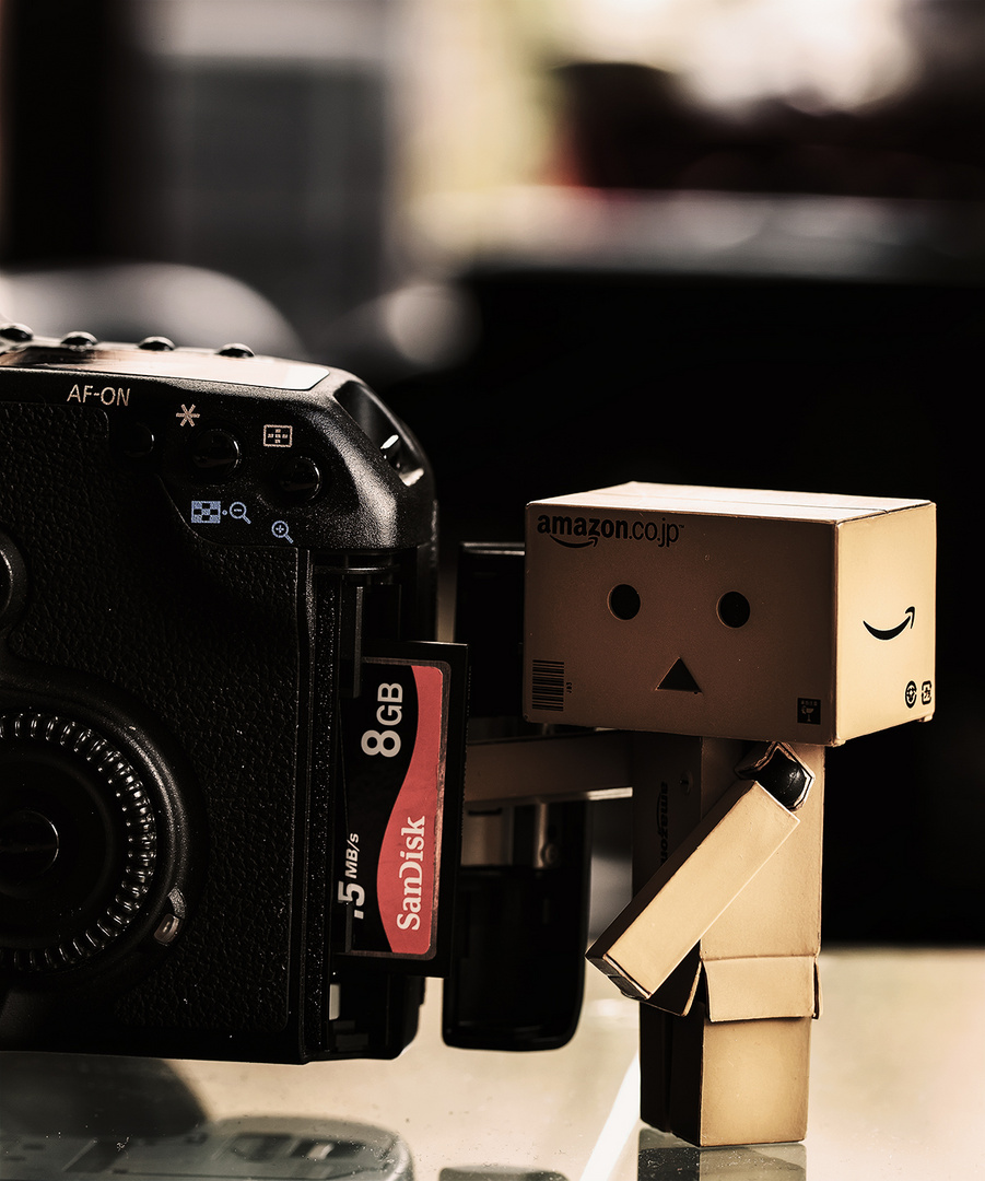 Hard Working Assistant, Danbo