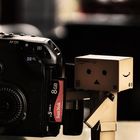 Hard Working Assistant, Danbo