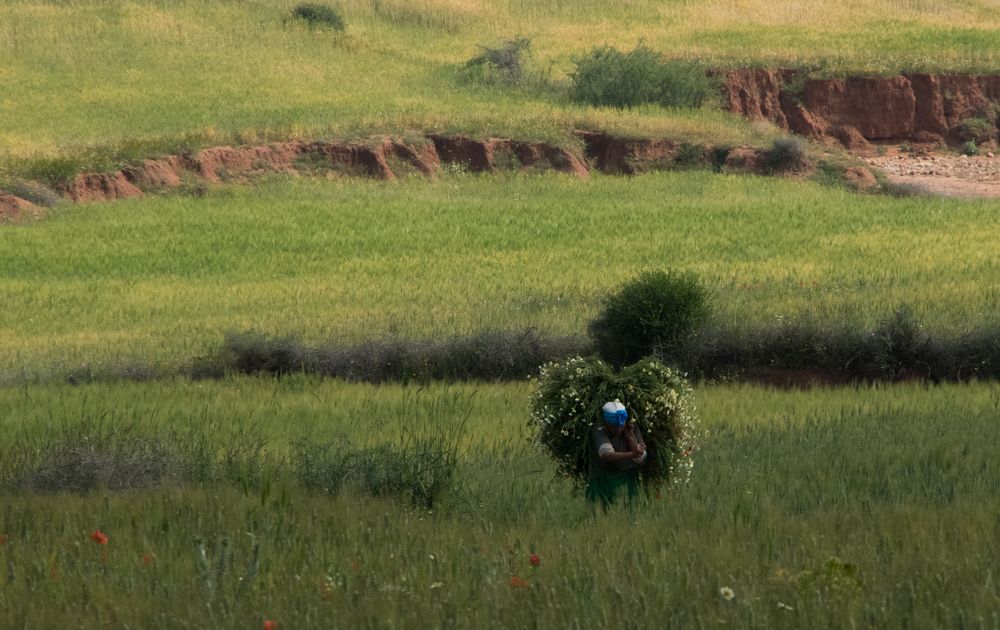 Hard Working Woman