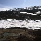 Hardanger Vidda - tobende Wasser