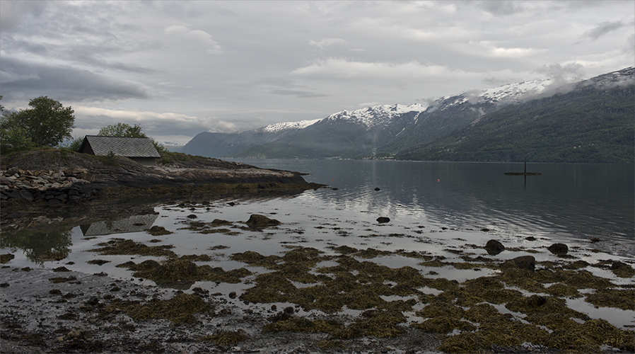 Hardangerfjord 1/3