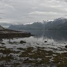 Hardangerfjord 1/3