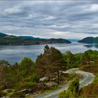 Hardangerfjord