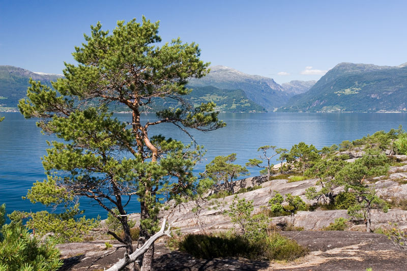 Hardangerfjord