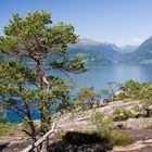 Hardangerfjord