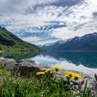 Hardangerfjord