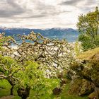 Hardangerfjord