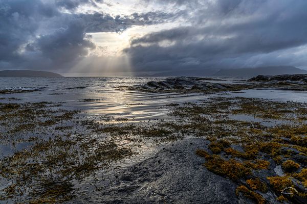 Hardangerfjord mit Inseln / Hardangerfjorden with islands (0932)