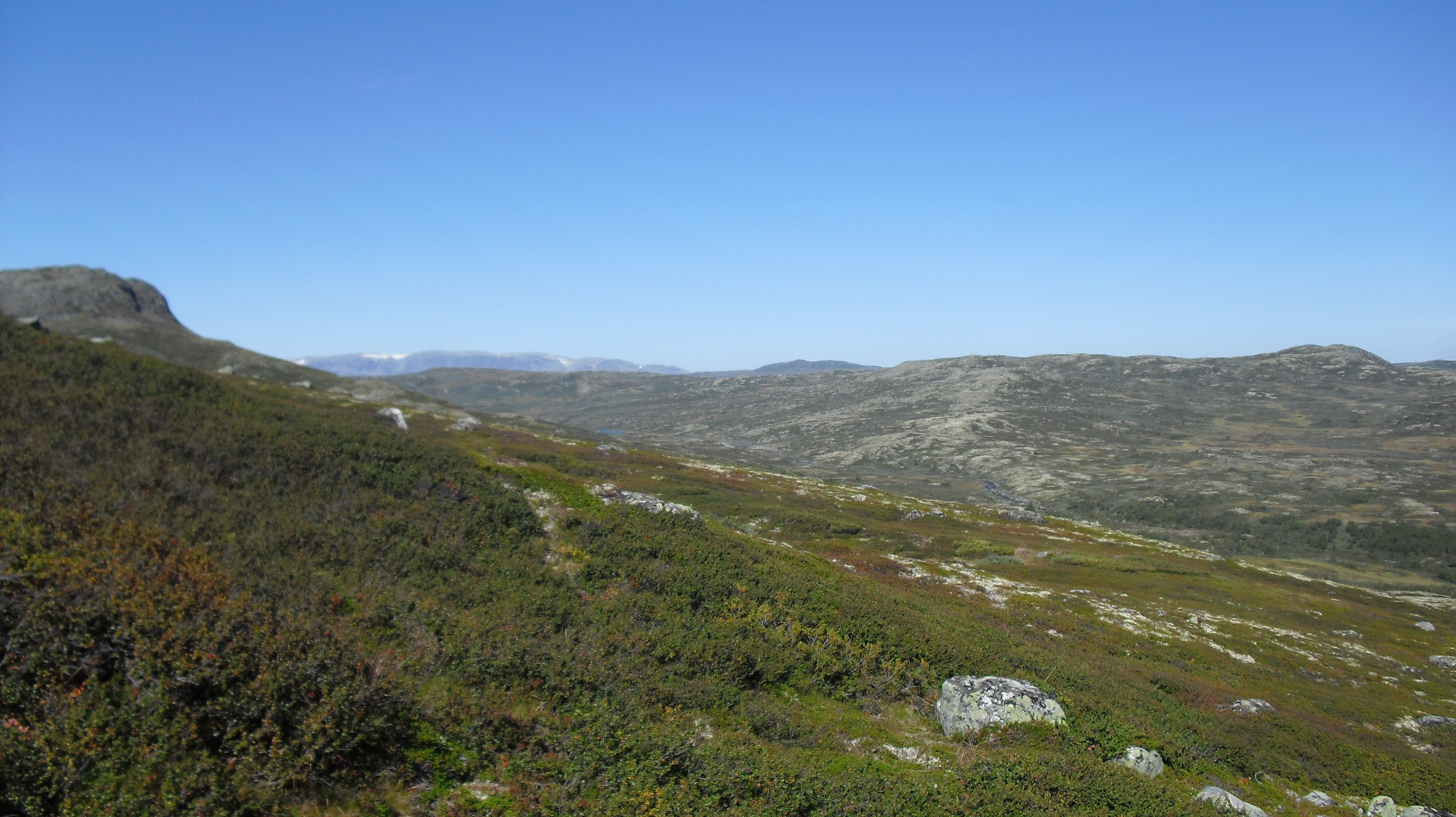 hardangervidda